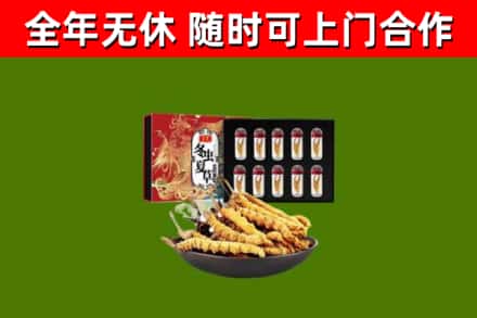龙山区烟酒回收冬虫夏草礼盒.jpg